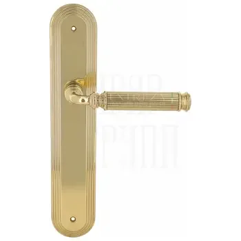 Дверная ручка Extreza "BENITO" (Бенито) 307 на планке PL05