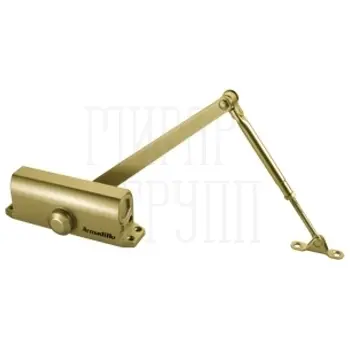 Доводчик Armadillo (Армадилло) дверной морозостойкий LY4000 (LY4) 85 кг золото