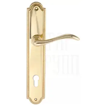 Дверная ручка Extreza "AGATA" 310 на планке PL03