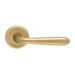 Дверная ручка Extreza "ALDO" (Алдо) 331 на круглой розетке R03, матовое золото
