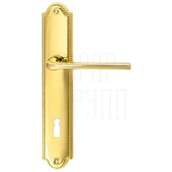 Дверная ручка Extreza 'TERNI' (Терни) 320 на планке PL03 полированное золото (cab) (KEY)