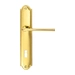 Дверная ручка Extreza "TERNI" (Терни) 320 на планке PL03, полированное золото (cab) (KEY)