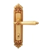 Дверная ручка на планке Melodia 246/229 "Nike", французское золото (wc)