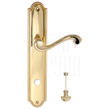 Дверная ручка Extreza 'LINA' (Лина) 313 на планке PL03 полированное золото (wc)