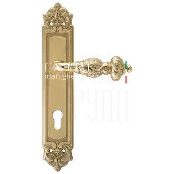 Дверная ручка Extreza 'TESLA' (Тесла) 315 на планке PL02 полированное золото (cyl)