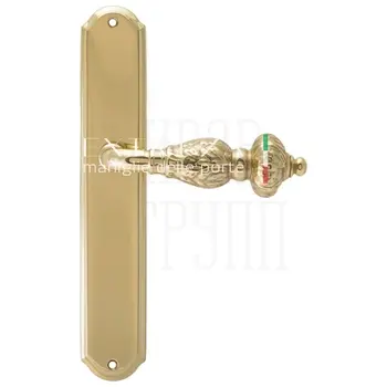 Дверная ручка Extreza 'TESLA' (Тесла) 315 на планке PL01 полированное золото
