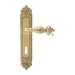 Дверная ручка Extreza "TESLA" (Тесла) 315 на планке PL02, полированное золото (cab) (KEY)