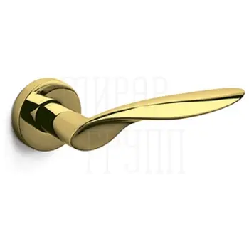 Дверные ручки на розетке Olivari Wind суперзолото