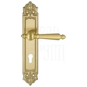 Дверная ручка Extreza "DANIEL" (Даниел) 308 на планке PL02