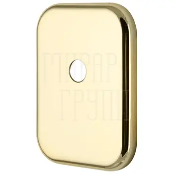 Декоративная Armadillo (Армадилло) Квадратная накладка на цилиндр со штоком BK-DEC SQ (ATC Protector 1) золото