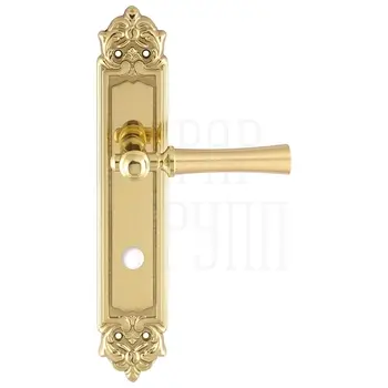 Дверная ручка Extreza 'DEZI' (Дези) 309 на планке PL02 полированное золото (wc)