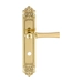 Дверная ручка Extreza "DEZI" (Дези) 309 на планке PL02, полированное золото (wc)