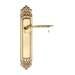 Дверная ручка Extreza "CALIPSO" (Калипсо) 311 на планке PL02, полированное золото