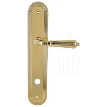 Дверная ручка Extreza "PETRA" (Петра) 304 на планке PL05