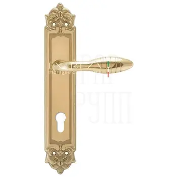 Дверная ручка Extreza 'MIREL' (Мирель) 316 на планке PL02 полированное золото (cyl)