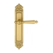 Дверная ручка Extreza "DANIEL" (Даниел) 308 на планке PL02, матовое золото