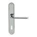 Дверная ручка Extreza 'TERNI' (Терни) 320 на планке PL01, полированный хром (key)