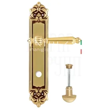 Дверная ручка Extreza 'DANIEL' (Даниел) 308 на планке PL02 французское золото (wc)