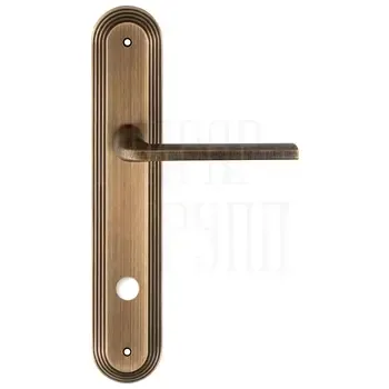 Дверная ручка Extreza "TERNI" (Терни) 320 на планке PL05