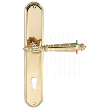 Дверная ручка Extreza 'DANIEL' (Даниел) 308 на планке PL01 полированное золото (cyl)