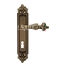 Дверная ручка Extreza "TESLA" (Тесла) 315 на планке PL02, матовая бронза (cab) (KEY)