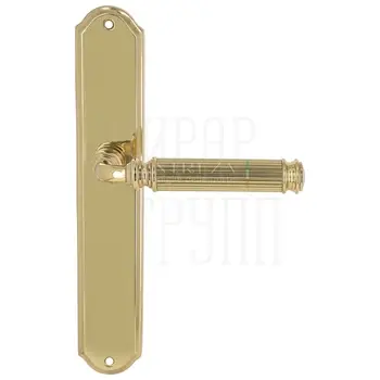 Дверная ручка Extreza 'BENITO' (Бенито) 307 на планке PL01 полированное золото