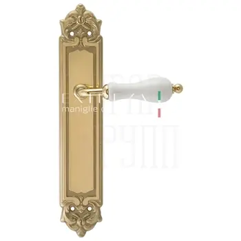 Дверная ручка Extreza 'DANA' (Дана) 305 на планке PL02 полированное золото
