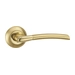 Дверная ручка Punto (Пунто) на круглой розетке "ARDEA" TL, матовое золото + золото