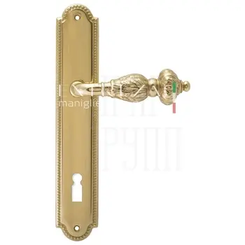 Дверная ручка Extreza 'TESLA' (Тесла) 315 на планке PL03 полированное золото (cab) (KEY)