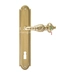 Дверная ручка Extreza "TESLA" (Тесла) 315 на планке PL03, полированное золото (cab) (KEY)