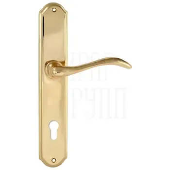 Дверная ручка Extreza "AGATA" (Агата) 310 на планке PL01