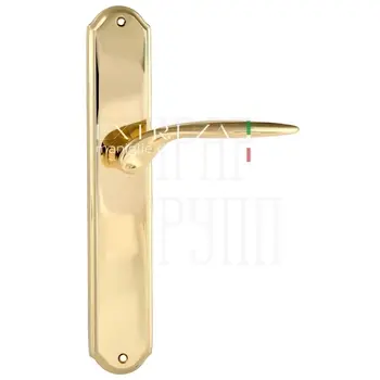 Дверная ручка Extreza 'CALIPSO' (Калипсо) 311 на планке PL01 полированное золото