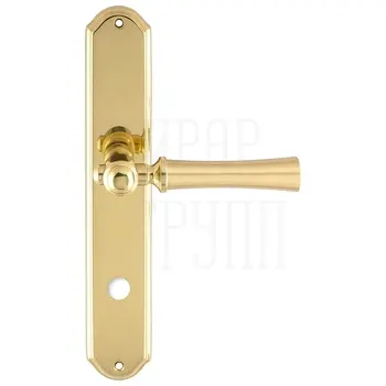 Дверная ручка Extreza 'DEZI' (Дези) 309 на планке PL01 матовое золото (wc)