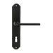 Дверная ручка Extreza 'TERNI' (Терни) 320 на планке PL01, черный (key)