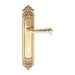Дверная ручка Extreza "PETRA" (Петра) 304 на планке PL02, полированное золото (cyl)
