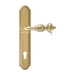 Дверная ручка Extreza "TESLA" (Тесла) 315 на планке PL03, полированное золото (cyl)