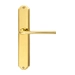 Дверная ручка Extreza "TERNI" (Терни) 320 на планке PL01, полированное золото