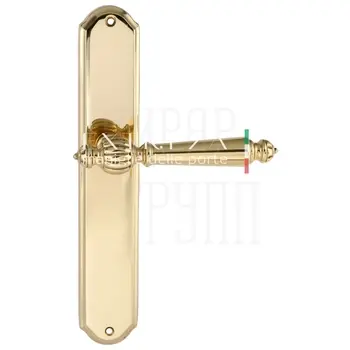 Дверная ручка Extreza 'DANIEL' (Даниел) 308 на планке PL01 полированное золото