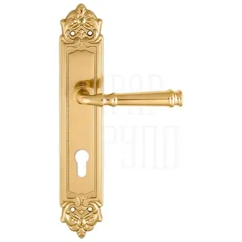Дверная ручка Extreza 'BONO' (Боно) 328 на планке PL02 полированное золото (cyl)
