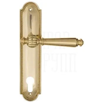 Дверная ручка Fratelli Cattini 'MARANI' на планке PL248 полированная латунь (cyl)