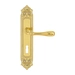 Дверная ручка Extreza "CARRERA" (Каррера) 321 на планке PL02, полированное золото (cab) (KEY)