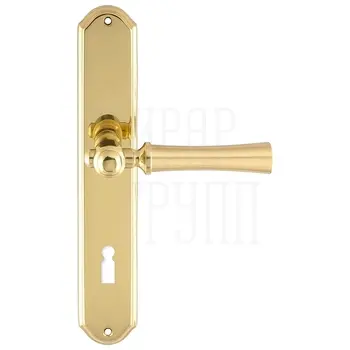 Дверная ручка Extreza 'DEZI' (Дези) 309 на планке PL01 матовое золото (cab) (KEY)