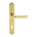 Дверная ручка Extreza 'DEZI' (Дези) 309 на планке PL01, матовое золото (key)