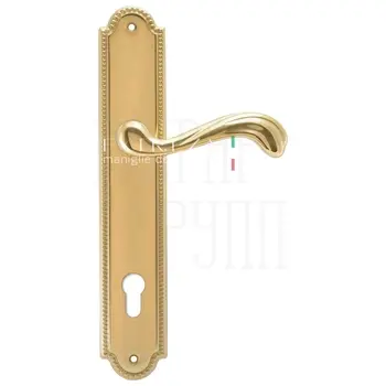 Дверная ручка Extreza 'NINA' (Нина) 317 на планке PL03 полированное золото (cyl)