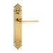 Дверная ручка Extreza "TERNI" (Терни) 320 на планке PL02, полированное золото