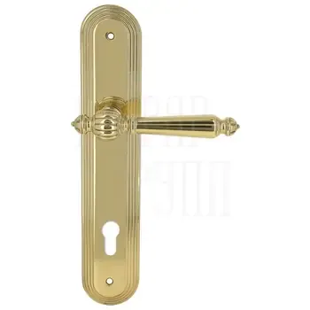 Дверная ручка Extreza "DANIEL" (Даниел) 308 на планке PL05