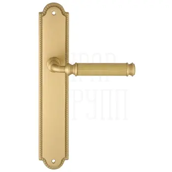Дверная ручка Extreza 'BENITO' (Бенито) 307 на планке PL03 матовое золото