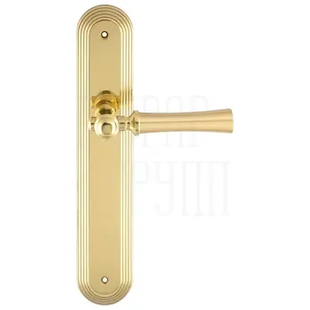 Дверная ручка Extreza 'DEZI' (Дези) 309 на планке PL05 матовое золото