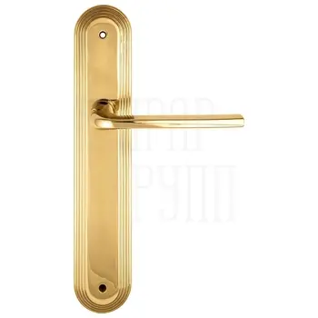 Дверная ручка Extreza 'TERNI' (Терни) 320 на планке PL05 полированное золото
