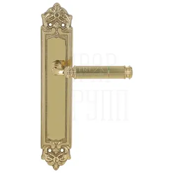 Дверная ручка Extreza 'BENITO' (Бенито) 307 на планке PL02 полированное золото